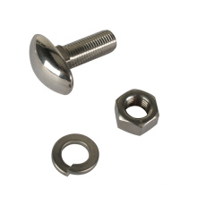 Stainless Steel Bumper Bolt